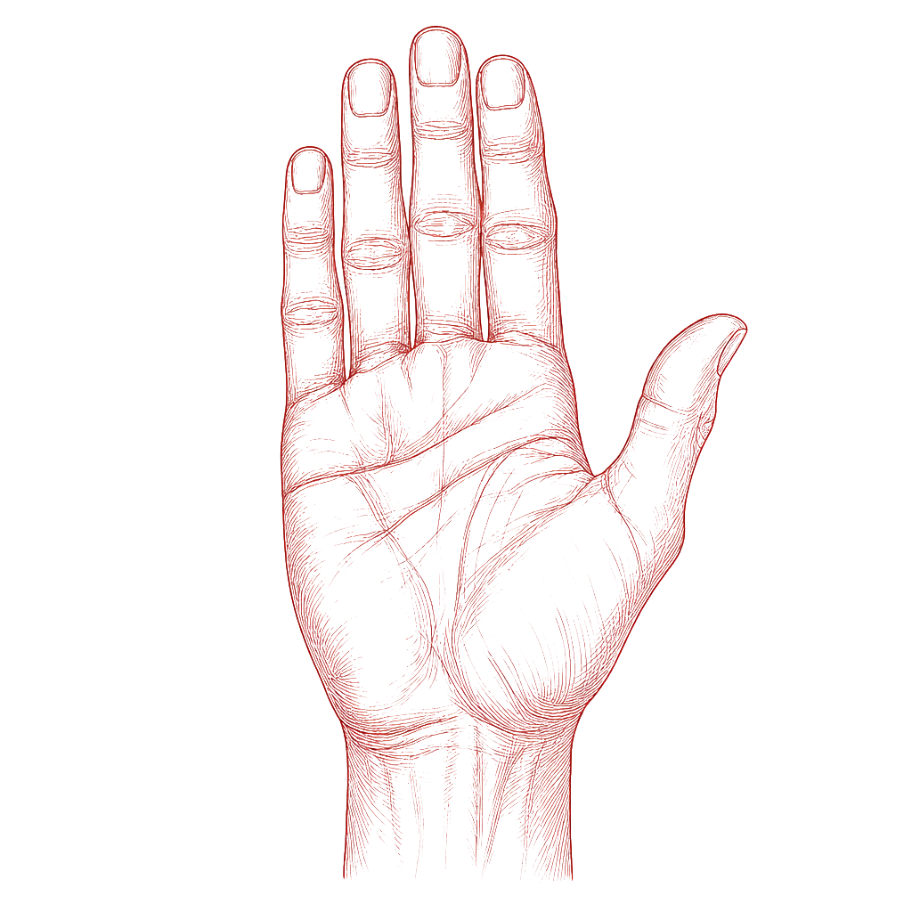 Open hand